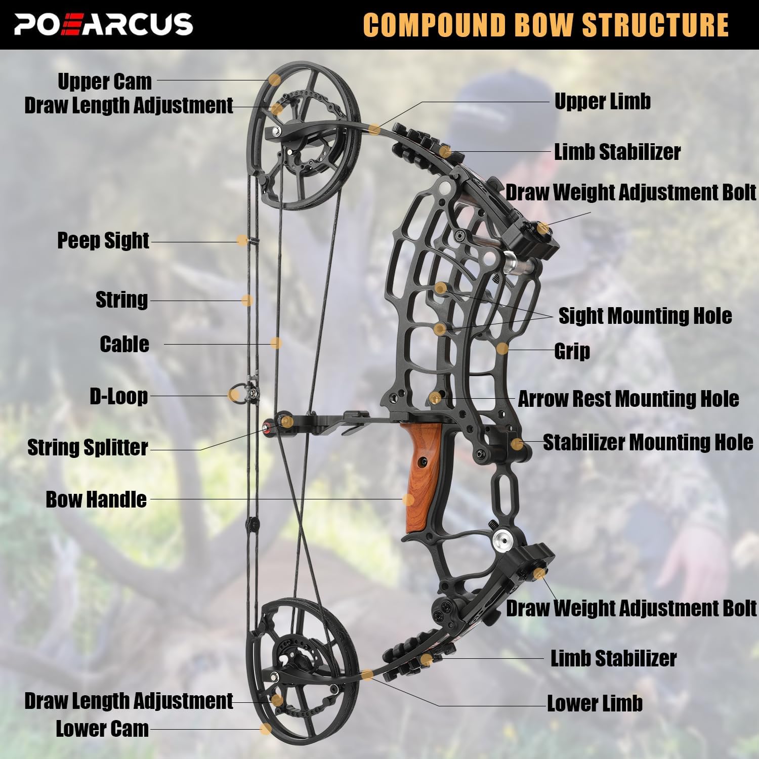 Çift Amaçlı Kompozit Yay Seti, - Compound Bow Hunting 30-70 Lbs incelemesi ve fiyatı